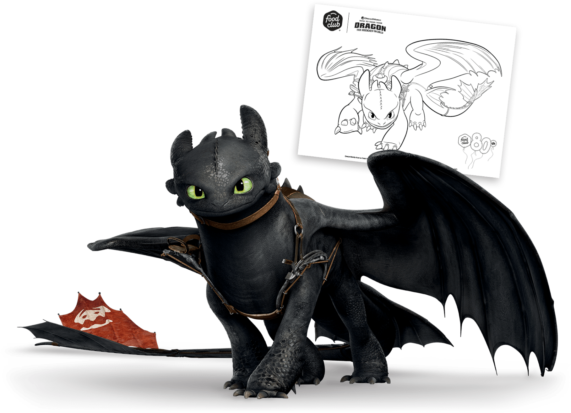 Color the dragon crew